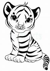 Tigers Cubs sketch template