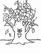 Tree Coloring Pages Leaves Printable Kids sketch template
