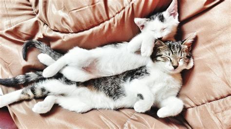 10 Cuddling Secrets Guys Wont Tell You Cuddling Cuddling Positions