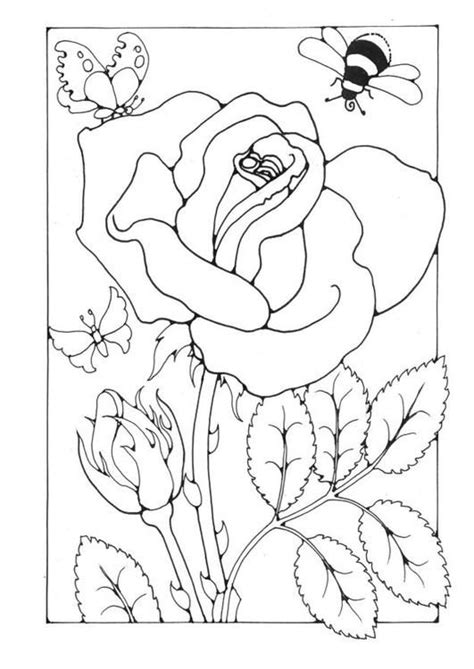 flower butterfly bee  coloring page