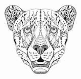 Cheetah Zentangle Gepard Mandalas Stylized Mandala Guepardo Jaguar Haupt Stilisiert Freehand Ornate sketch template