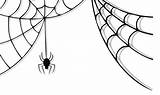 Spider Web Clipart Transparent Halloween Library sketch template