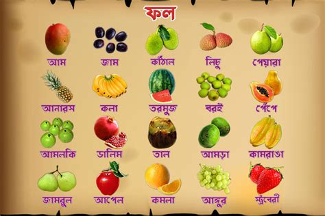 healthy food  list  hindi diet plan