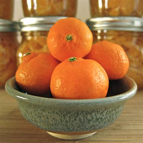 arctic garden studio    mandarin oranges