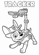 Patrol Paw Coloring Pages Printable Puppy Setup Do Raskrasil sketch template