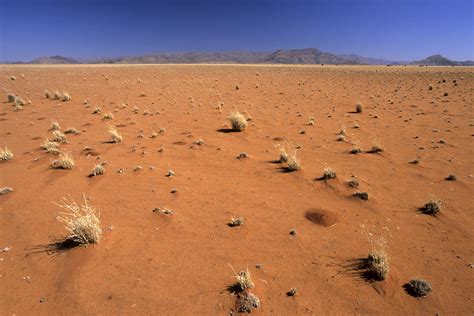 photo desert du namib grande plaine de sable orange philippe crochet photographe de la