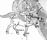 Sagittarius Constellation Clipart Etc Usf Edu Chiron Codex Large Healing Humanity Drawing Clipground Medium sketch template