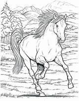 Horseman Headless Coloring Getcolorings Print sketch template