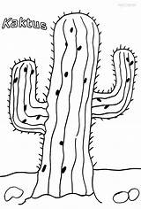 Kaktus Ausdrucken Malvorlagen sketch template