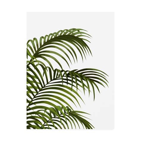 trademark fine art palm leaf  green  white canvas art  fab