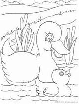 Ducklings Kinderart Coloringpagesfortoddlers sketch template