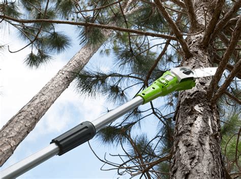 greenworks pole  review  guide    good  forestry pros