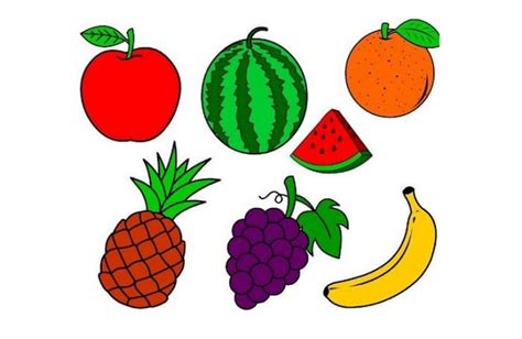 sketsa buah buahan  mudah  simple broonet