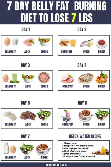 How To Lose Stomach Fat Meal Plan Tokhow