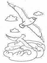 Coloring Pages Seagull Seagulls Birds sketch template