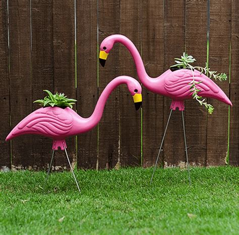 pink flamingo   front yard  yard sumo