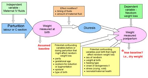 calculate weight loss percentage  infants oilgalaover blogcom