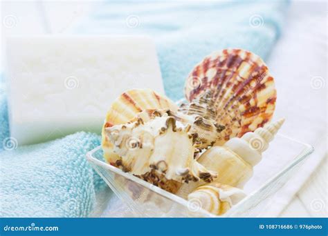 sea shell spa concept stock photo image  hygiene
