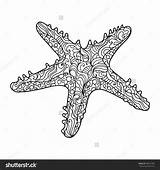 Vector Choose Board Starfish Zentangle sketch template