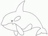 Orca Orque Coloriage Dessin Coloring Imprimer Et Para Colorear Whale Dauphin Print Dibujos Orcas Imagenes Pages Animales Whales La Killer sketch template