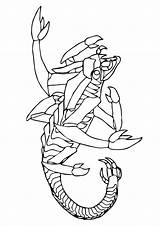 Skorpion Ausmalbilder Scorpion sketch template