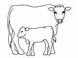 Coloring Pages Cow Printable Kids sketch template