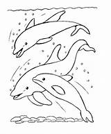 Pesci Familia Bojanke Delfine Delfin Colorat Golfinhos Ribe Riba Delfines Delphine Crtež Delfino Colorir Delfini Tiere Coloriage Brincando Saltando Oceano sketch template