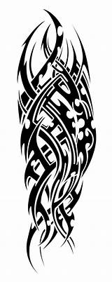Tribal Samoan Designs Drawing Tattoo Sleeve Polynesian Tiger Getdrawings sketch template
