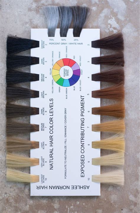 hair level chart hair chart hair color chart hair color guide hair color formulas hair