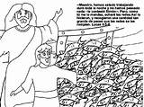 Visvangst Pesca Milagrosa Wonderbaarlijke Maravilhosa Apostelen Jezus Luke Kleurplaten Pascua Wonderbare Tekeningen Catequesis Testament Bijbel Tercer Recusos Bezoeken Milagres Miraculeuse sketch template
