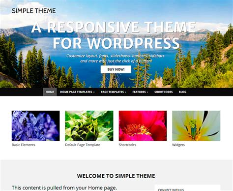 premium responsive wordpress themes
