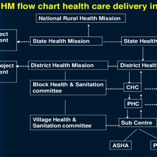 hierarchy  public health care system  india  scientific