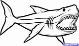 Megalodon Shark Drawing Coloring Pages Easy Great Drawings Cartoon sketch template