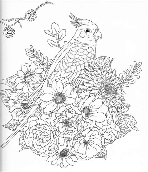 novosti animal coloring pages flower coloring pages flower drawing