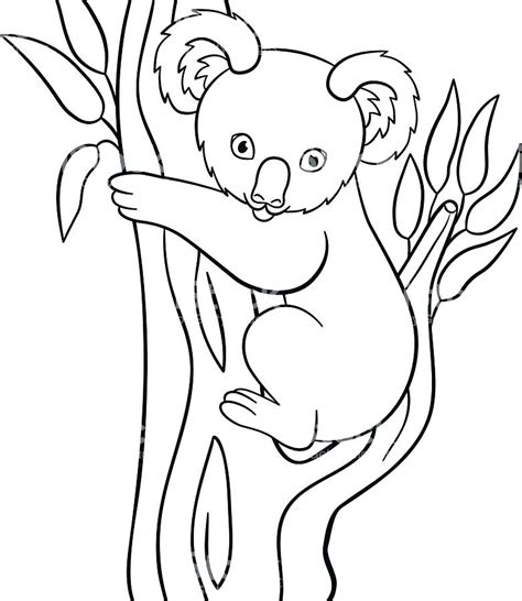 baby koala drawing  getdrawings