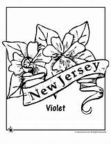 State Jersey Flower Coloring Pages Ohio Cliparts Iowa Flowers Usa Color Jr Print Brutus Getcolorings Getdrawings Classroom Clip Officer Junior sketch template