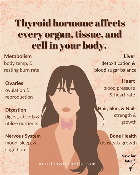 thyroid health function symptoms testing optimal foods  levels