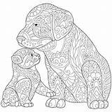 Coloring Pages Dog Puppy Lab Printable Adults Cats Chocolate Cat Mandala Adult Kitten Pet Animal Labrador Kids Mandalas Easy Color sketch template