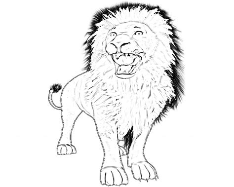 printable lion coloring pages  kids animal place