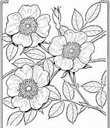 Tooling Coloring sketch template