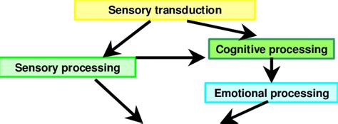 perceptual process  scientific diagram