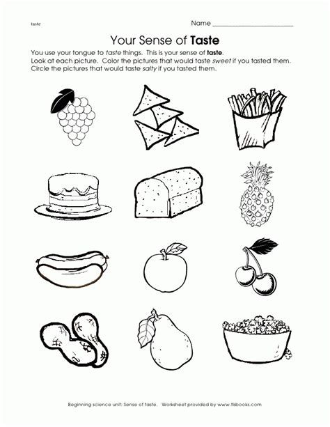 senses coloring pages books    printable