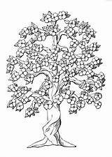 Tree Coloring Blossoms Printable sketch template