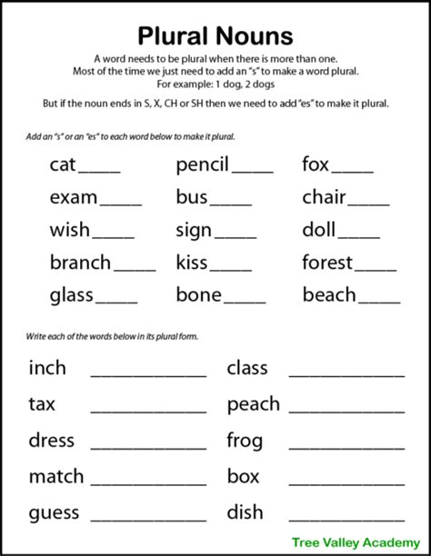 printable plural nouns worksheets  kids tree valley academy