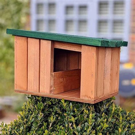 robin stay dry nesting house home roost