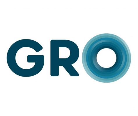 brand identity  marketing solutions firm gro newsbook