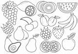 Vector Illustration Fruits Berries Icons Coloring Cartoon Book sketch template