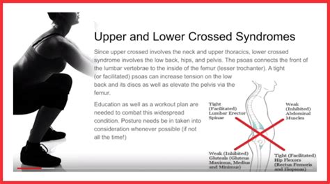 Spine Wise Exercise For Optimum Function And Movement