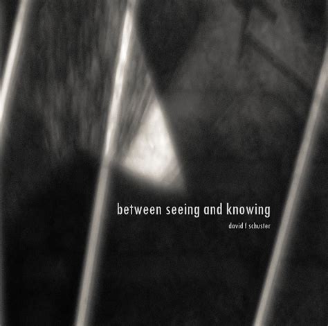 Between Seeing And Knowing By David F Schuster Blurb Books