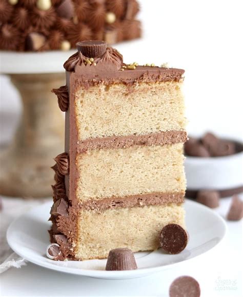 chocolate peanut butter cake recipe sugar sparrow